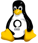 ossaz's profile picture. 