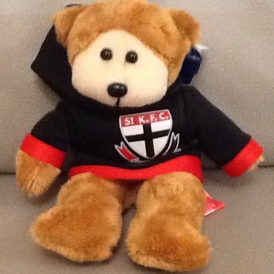 di_stkilda's profile picture. 🎗️🇮🇱 Diehard ❤️⚪️⚫️ Saint 🇦🇺