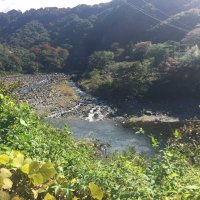 田中俊行 (@jmtwpagj5) 's Twitter Profile