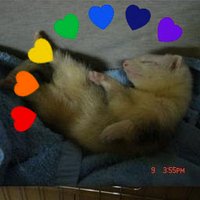 EB (@kamuhyuk) 's Twitter Profile