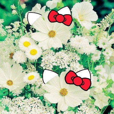 ᴘ ᴏ ᴄ ᴋ ʏ 닐스さんのプロフィール画像