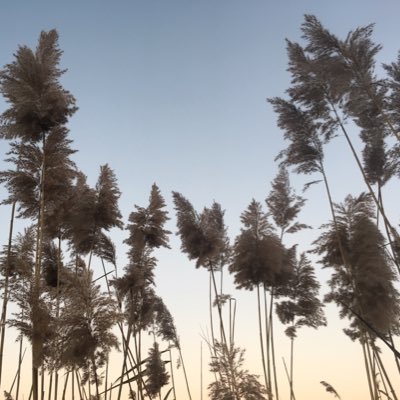 krul84's profile picture. 