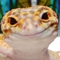 Wonko the Sane (@pompomtom) 's Twitter Profile