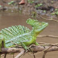 Henry (@henryhammerbeck) 's Twitter Profile Photo