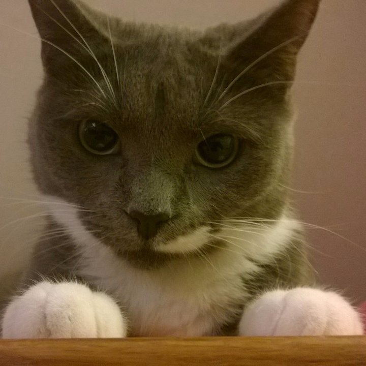 RobertBjorkqvis's profile picture. 