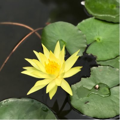 qbmcOlwlhmRX4VB's profile picture. 我就是我