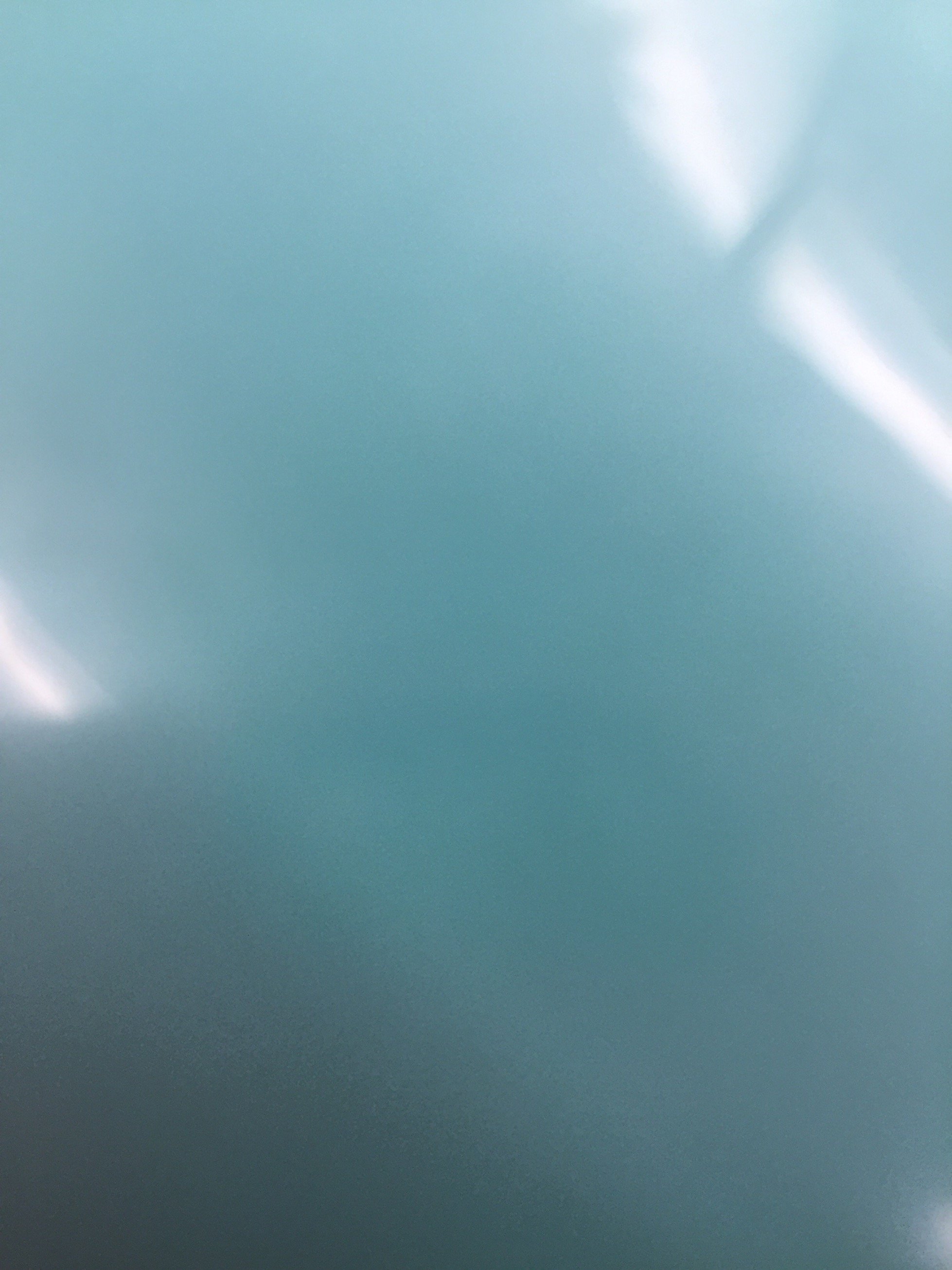 emilySheculski's profile picture. 