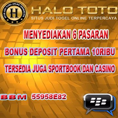 halototo1's profile picture. 