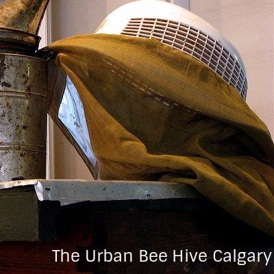 OUR MISSION:To teach & educate the importance of honeybees in an urban setting.  We integrate bee hives in your community using a Hands on - Mentoring approach.