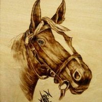 Kalifa 123 (@kalifa1236) Twitter profile photo