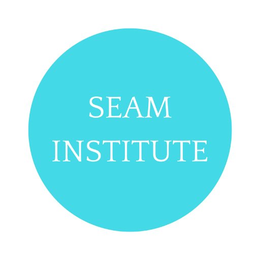 SEAM Institute, est. 2013, factors both people and finances into sustainable OD interventions that reduce hidden costs and increase human potential.