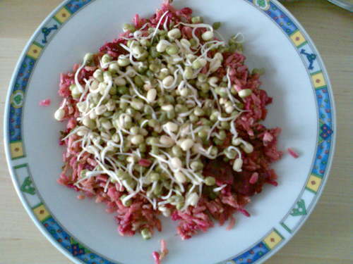 hashook's profile picture. הגיגים מתוך הרפתקאות תמר בשוק הבשר ללא סדר כרונולוגי