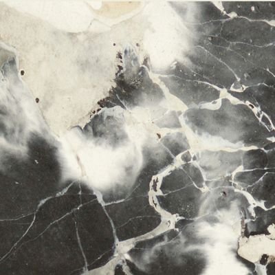 ResidentNemo's profile picture. Software Developer at Snowed In Studios