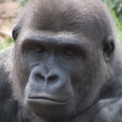 reneedemunck's profile picture. 030, Office365, Ajax, Fietsen, Femke, Suze, Jelte