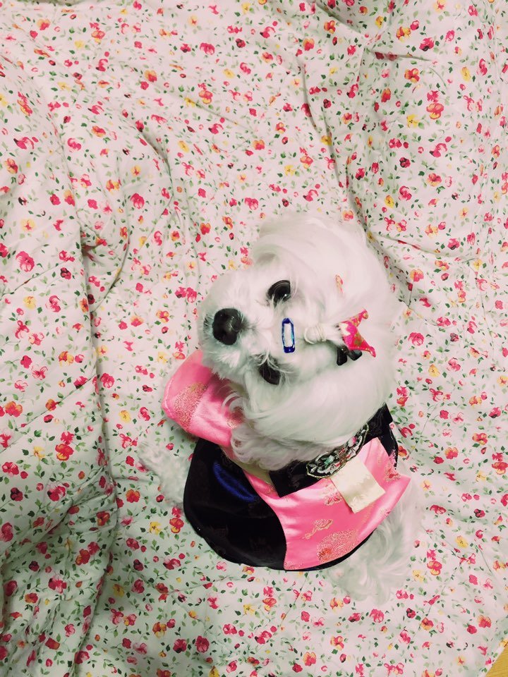 Hello☆〃