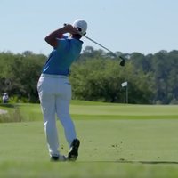 Joey Arcuri (@joey_arcuri) 's Twitter Profile