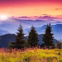 CSCNews (@cscnews) 's Twitter Profile