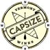 Capsize Wines (@capsizewines) Twitter profile photo Capsize Wines (@capsizewines) Twitter profile photo