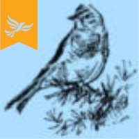 Copperbird 🔶(@copperbird) 's Twitter Profile Photo