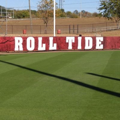 sftballdad23's profile picture. 