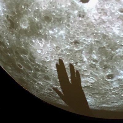 Stellabrettianaさんのプロフィール画像