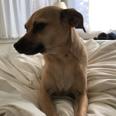 castawaydad's profile picture. concerned citizen