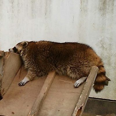 D.Dさんのプロフィール画像
