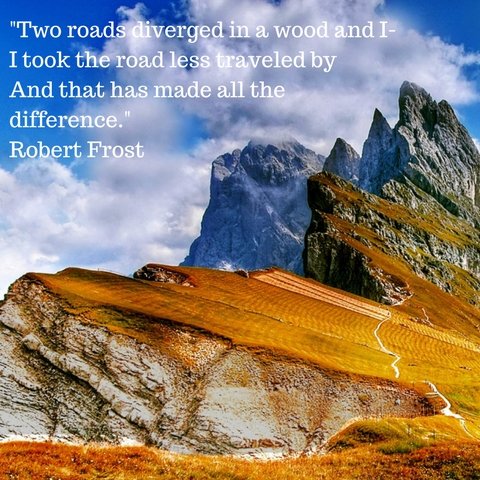 thedvmproject's profile picture. The million uses for a veterinary degree and how to get there.  Interviews with vets in non-clinical practice, career advice.  https://t.co/vqYgTmJbqc