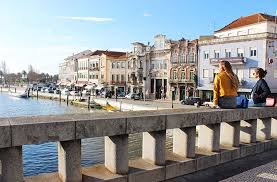 MCascai's profile picture. Biologia