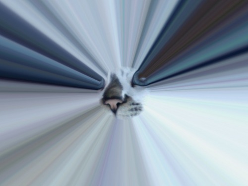 Kmrさんのプロフィール画像