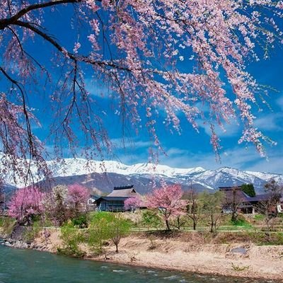 mkm_twt's profile picture. ✌