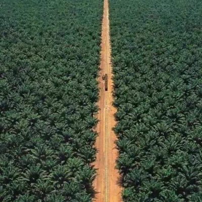 aaat_rr's profile picture. 