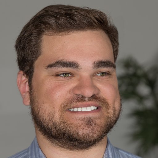 Dennis Bachmann Profile