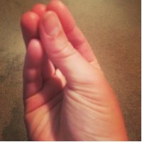 Caplyn Reed (@swagycdog) 's Twitter Profile