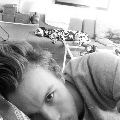 timosaurius's profile picture. Urban Cone