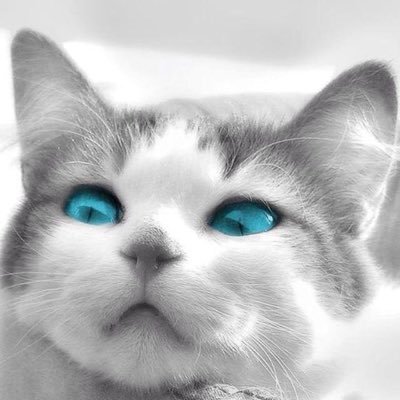 モバレジェやってます。現在エピックⅠ。メインは趙雲。