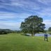 Sutton Hall Golf (@suttonhallgc) Twitter profile photo Sutton Hall Golf (@suttonhallgc) Twitter profile photo