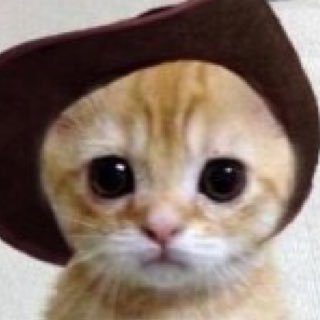 zNxIPxuSImZSL4o's profile picture. 