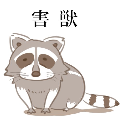 ムサカさんのプロフィール画像