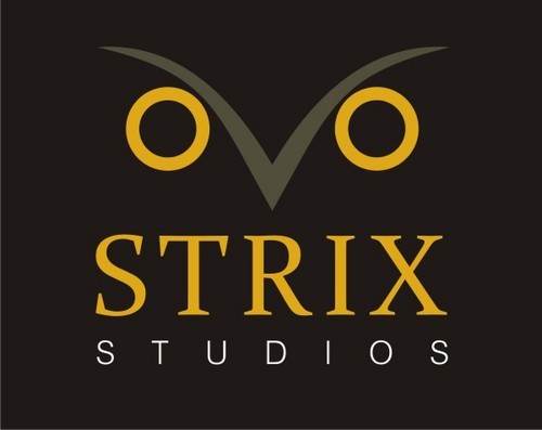 Ensaios fotográficos e eventos na área de fotografia e vídeo. Acesse o site para mais informações. Contato: strix.studios@gmail.com