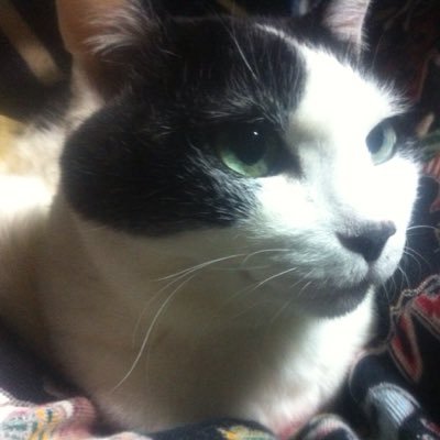 karakurisan2's profile picture. パーツのあれこれ。