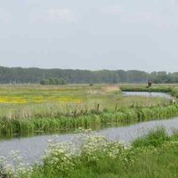 Mooi Binnenveld 🌸 (@mooibinnenveld) 's Twitter Profile Photo Mooi Binnenveld 🌸 (@mooibinnenveld) 's Twitter Profile Photo