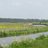 MooiBinnenveld's profile image
