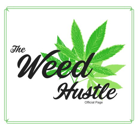 weed_hustle's profile picture. 