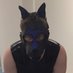Speedy (@speedy_pup) Twitter profile photo Speedy (@speedy_pup) Twitter profile photo