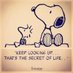 Susan O'Keeffe (@susanokeeffe) Twitter profile photo Susan O'Keeffe (@susanokeeffe) Twitter profile photo