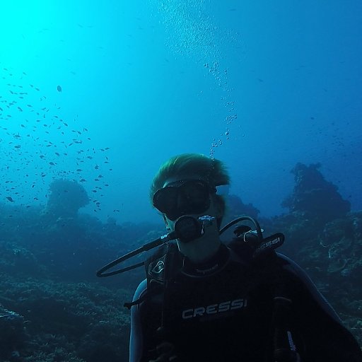 VincentQuiq's profile picture. Foraging ecology of marine Megafauna