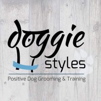 DS Grooming&Training (@dstylesgrooming) 's Twitter Profile