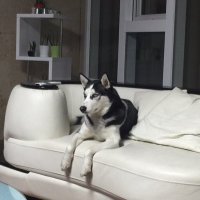baezzang25 (@baezzang25) 's Twitter Profile