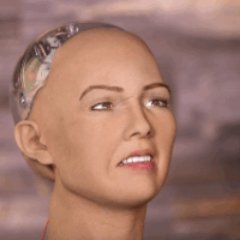 SdqzSdz's profile picture. 